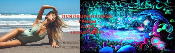 ПСИЛОЦИБИНОВЫЕ ГРИБЫ Пересвет