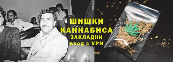 ПСИЛОЦИБИНОВЫЕ ГРИБЫ Пересвет