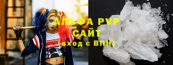 СК Пестово