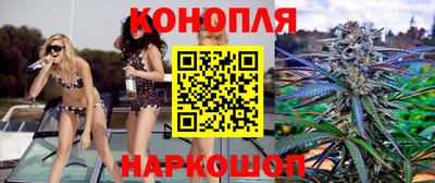 каннабис Камышлов