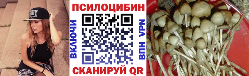 Псилоцибиновые грибы Magic Shrooms  Курчатов 