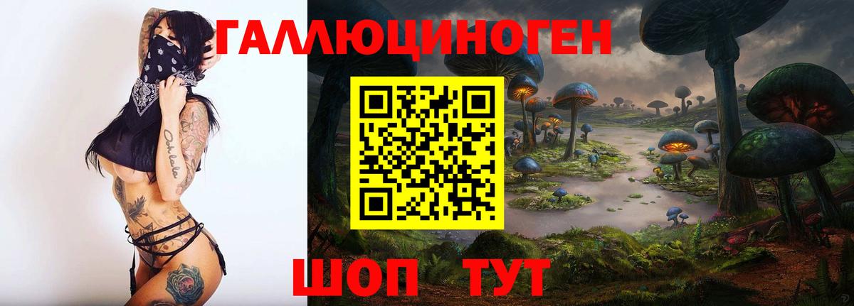 Псилоцибиновые грибы Psilocybine cubensis Курчатов