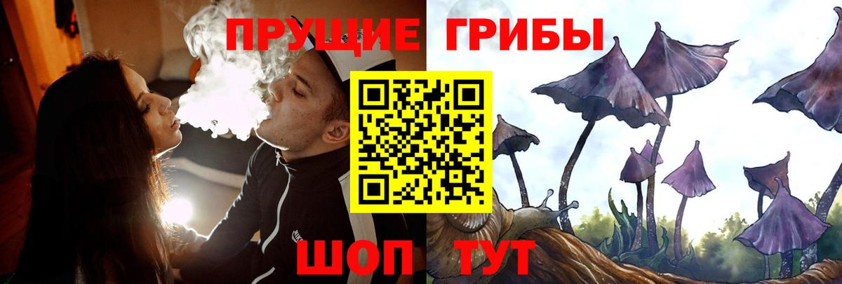 Галлюциногенные грибы ЛСД  Псилоцибиновые грибы ЛСД  Курчатов  Вход с VPN 